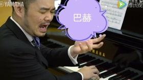 国产钢琴演奏弹奏视频教学,掌握经典曲目弹奏技巧