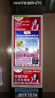 国产杀虫药广告视频大全,守护家园，绿色驱虫新选择