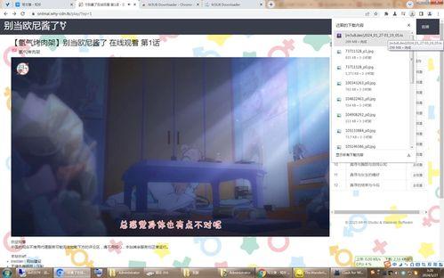 国产毛色视频网站,探寻毛色之美，尽享视觉盛宴