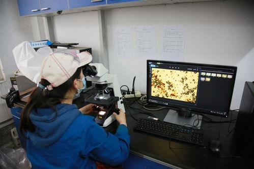 国产体检视频,国产体检视频深度解析