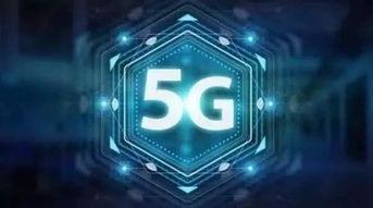 国产成视频区设计案例,创意与美学的完美融合案例解析