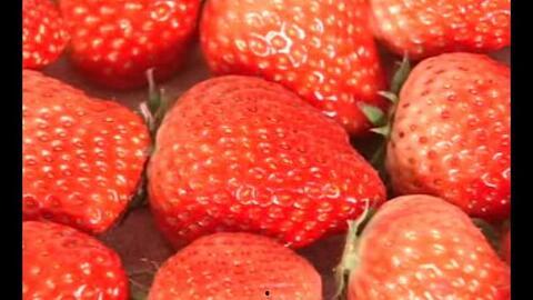 草莓精品视频国产,国产草莓魅力绽放