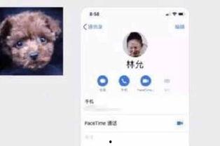 k视频国产网红,K视频平台上的璀璨新星