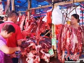 国产人造培育肉视频