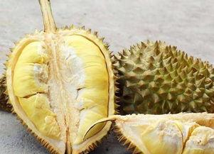 国产榴莲为啥那么贵呢视频