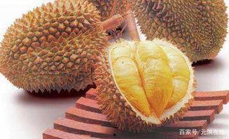 国产榴莲为啥那么贵呢视频